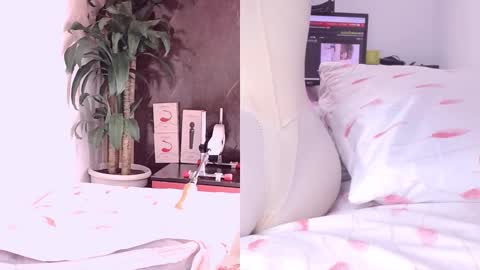 Carol online show from March 18, 2026, 11:02 am