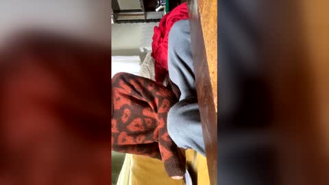 carrrigggg online show from March 3, 2026, 9:15 am