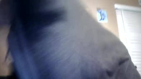 Snapshot of carsonlueders8775 chatting on January 13, 2025, 1:56 am carsonlueders8775 online show from January 13, 2025, 1:56 am