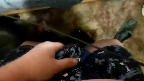 Sir Stroke Alot online show from March 11, 2025, 6:32 am