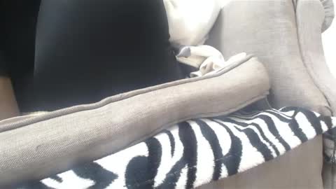 Snapshot of cassandra_joy chatting on February 18, 2025, 3:43 pm Cassandra joy online show from February 18, 2025, 3:43 pm