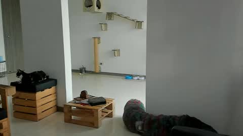 Snapshot of cassjimenez chatting on March 22, 2026, 11:57 am Cassandra online show from March 22, 2026, 11:57 am