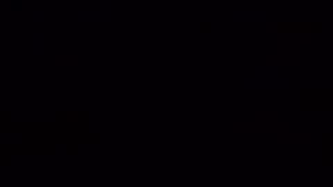 catfun3 online show from November 8, 2025, 11:54 am