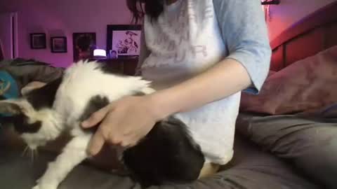 some call me djcatnips some call me CC but i love it when you call me miss catnips  online show from July 10, 2026, 3:00 am