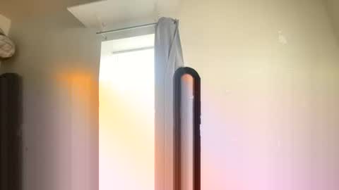 catsplace online show from December 21, 2024, 4:46 pm