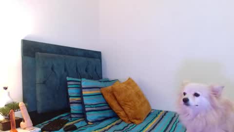 Cedrixx10 online show from November 11, 2025, 10:32 pm