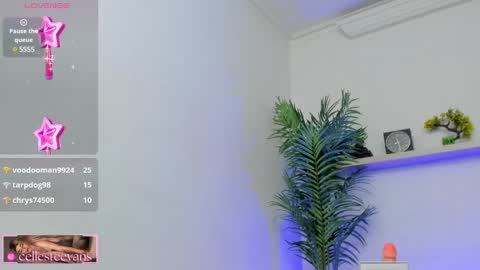Snapshot of cellesteevans chatting on January 8, 2025, 9:34 pm Celeste online show from January 8, 2025, 9:34 pm