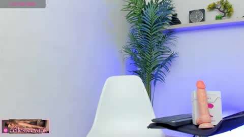 Snapshot of cellesteevans chatting on January 20, 2025, 4:45 pm Celeste online show from January 20, 2025, 4:45 pm