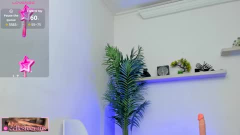 Snapshot of cellesteevans chatting on January 21, 2025, 5:41 pm Celeste online show from January 21, 2025, 5:41 pm