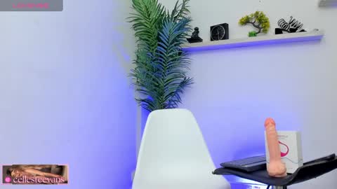 Snapshot of cellesteevans chatting on January 25, 2025, 9:04 pm Celeste online show from January 25, 2025, 9:04 pm