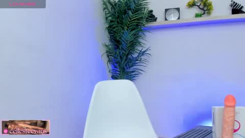 Snapshot of cellesteevans chatting on February 5, 2025, 8:57 pm Celeste online show from February 5, 2025, 8:57 pm