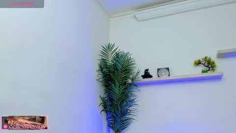 Snapshot of cellesteevans chatting on February 11, 2025, 3:18 pm Celeste online show from February 11, 2025, 3:18 pm