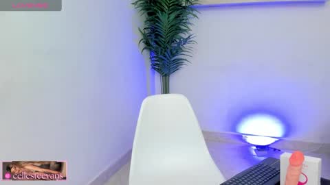 Snapshot of cellesteevans chatting on February 14, 2025, 4:41 pm Celeste online show from February 14, 2025, 4:41 pm