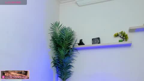 Snapshot of cellesteevans chatting on February 21, 2025, 2:59 pm Celeste online show from February 21, 2025, 2:59 pm