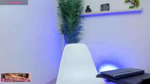 Snapshot of cellesteevans chatting on February 25, 2025, 3:38 pm Celeste online show from February 25, 2025, 3:38 pm