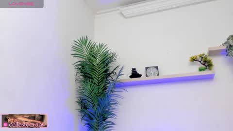 Snapshot of cellesteevans chatting on March 12, 2025, 7:28 pm Celeste online show from March 12, 2025, 7:28 pm