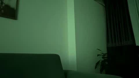 Snapshot of cescon11 chatting on December 29, 2024, 9:09 pm Cescon11 online show from December 29, 2024, 9:09 pm