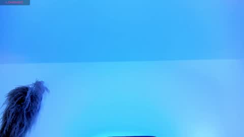 Snapshot of charlotte_whitee1 chatting on October 12, 2025, 11:53 am Charlotte Everyday From 0700 to 1300 Col Time online show from October 12, 2025, 11:53 am