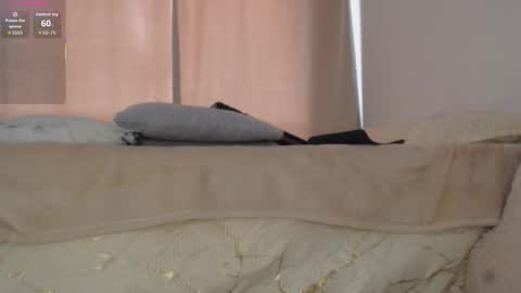 charlottehorny1 online show from February 8, 2026, 3:04 pm