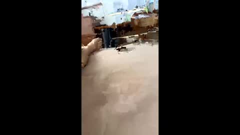 chasejase20333 online show from December 16, 2024, 7:37 am