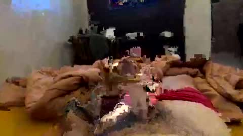 chasejase20333 online show from February 2, 2026, 2:10 am