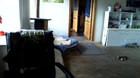 chefben666 online show from April 15, 2026, 11:17 am