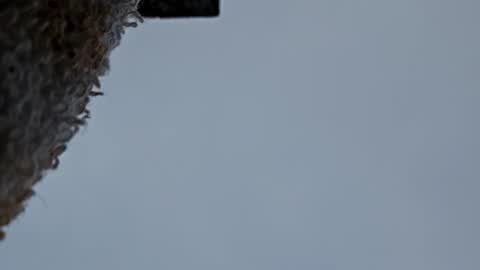 Snapshot of cheffydl chatting on November 9, 2025, 12:47 pm cheffydl online show from November 9, 2025, 12:47 pm