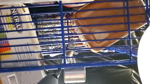 Snapshot of cheffydl chatting on November 16, 2025, 11:16 am cheffydl online show from November 16, 2025, 11:16 am