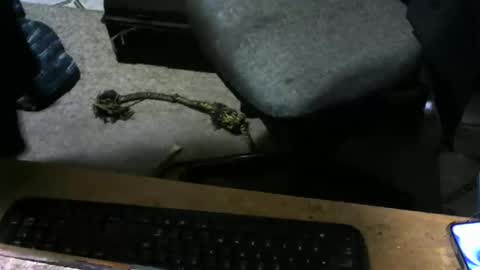 Snapshot of chefy999 chatting on November 10, 2025, 10:14 am chefy online show from November 10, 2025, 10:14 am