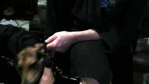 Snapshot of chefy999 chatting on December 3, 2025, 11:41 am chefy online show from December 3, 2025, 11:41 am