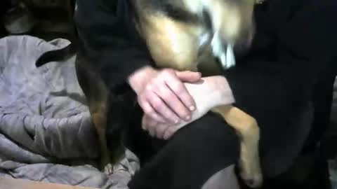 Snapshot of chefy999 chatting on February 19, 2026, 9:38 am chefy online show from February 19, 2026, 9:38 am