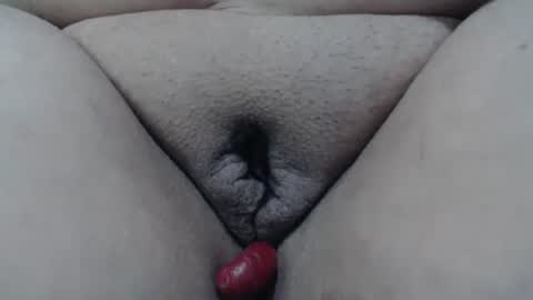 Cheila online show from April 24, 2026, 2:08 pm