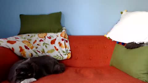 Snapshot of chelseasentra1 chatting on September 23, 2025, 1:25 pm Chelsea online show from September 23, 2025, 1:25 pm