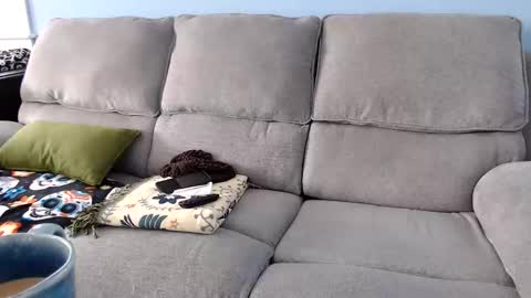 Chelsea online show from February 2, 2026, 4:49 pm