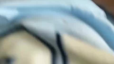 domenic online show from January 31, 2025, 3:00 pm