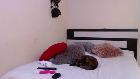 Snapshot of chikandela chatting on January 4, 2025, 1:52 am Valentina online show from January 4, 2025, 1:52 am