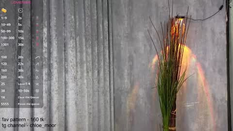 Snapshot of chloe_moor chatting on December 10, 2024, 9:00 pm Chloe online show from December 10, 2024, 9:00 pm