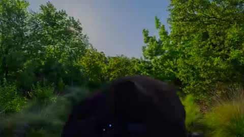 Christian online show from November 12, 2025, 6:47 am