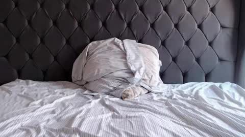 Snapshot of chubbydays chatting on April 3, 2026, 7:34 pm chubbydays online show from April 3, 2026, 7:34 pm