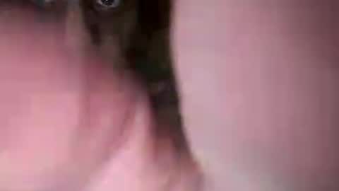 chuckied6969 online show from July 22, 2026, 3:04 pm