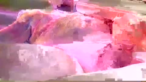 Snapshot of chummy50222 chatting on December 8, 2024, 4:14 am chummy50222 online show from December 8, 2024, 4:14 am