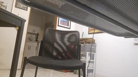 Snapshot of cigneska1 chatting on March 9, 2025, 3:32 am cigneska1 online show from March 9, 2025, 3:32 am