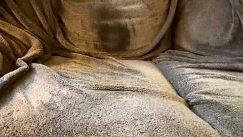 Snapshot of circlejerkslutt chatting on December 2, 2024, 5:15 pm join the circle online show from December 2, 2024, 5:15 pm