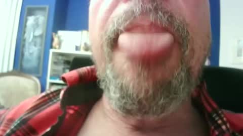 Snapshot of circus_bear chatting on February 20, 2026, 4:29 pm Circus Bear online show from February 20, 2026, 4:29 pm