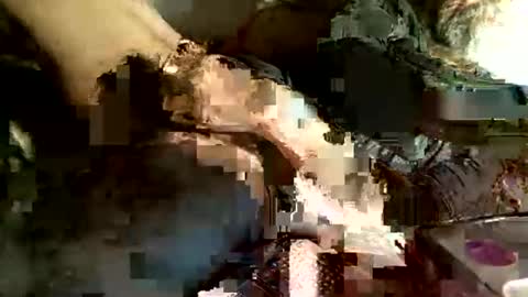 Snapshot of cityman2023 chatting on March 5, 2025, 4:13 am dan online show from March 5, 2025, 4:13 am