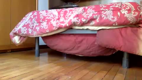 claudi779 online show from December 29, 2024, 3:24 pm