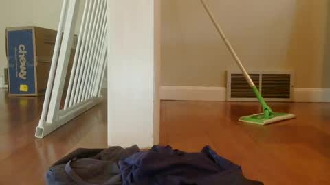 cmd3016 online show from July 31, 2026, 7:24 pm