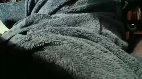 Snapshot of colchuck chatting on February 20, 2026, 2:39 pm colchuck online show from February 20, 2026, 2:39 pm