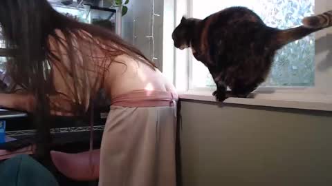 Snapshot of constantcumquest chatting on September 26, 2025, 8:24 pm ANR Mommy online show from September 26, 2025, 8:24 pm