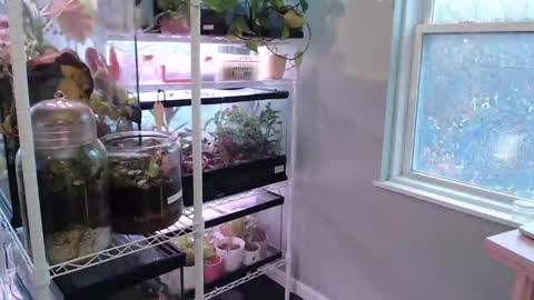 Snapshot of constantcumquest chatting on November 9, 2025, 5:22 pm ANR Mommy online show from November 9, 2025, 5:22 pm